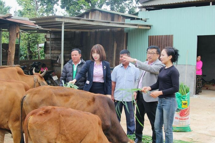  Tín dụng chính sách: "chìa khóa" giúp hàng nghìn hộ dân Tây Nguyên thay đổi tư duy sản xuất và thoát nghèo bền vững 