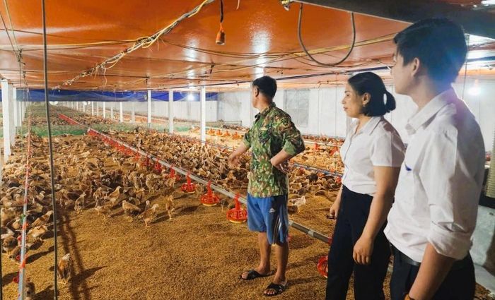 Hệ thống Agribank trên địa bàn Hà Tĩnh đã và đang triển khai nhiều giải pháp nhằm giảm mặt bằng lãi suất, hỗ trợ cho khách hàng.