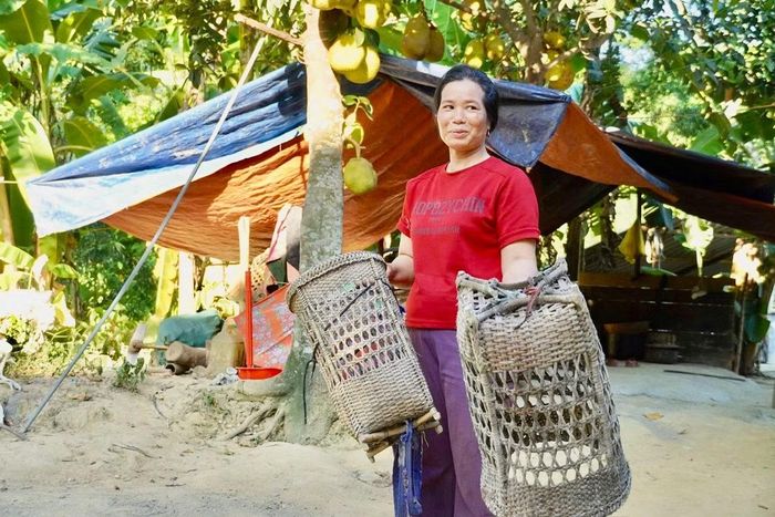 Đời sống của người Bru - Vân Kiều ở bản Khe Cát chủ yếu dựa vào rừng.