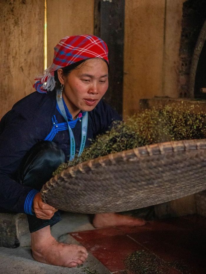 Trên nia tre, cám chè theo từng nhịp sàng nhẹ nhàng bay đi, để lại những cánh trà khô đều và thơm dịu. Đó là một trong những công đoạn cuối cùng trước khi trà Shan tuyết được đóng gói đến tay người tiêu dùng.