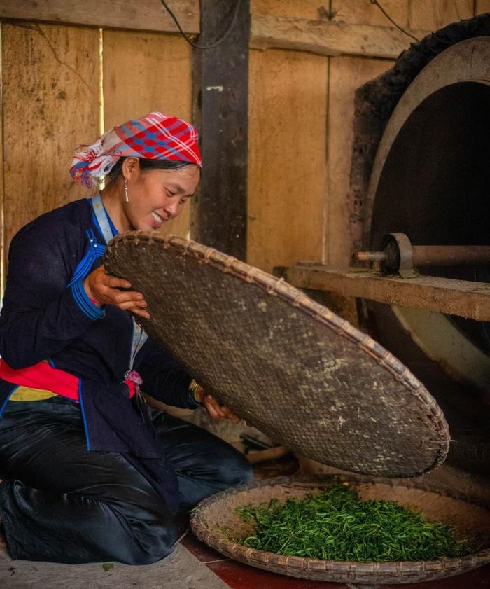 Bên cạnh làm trà, chị Thông còn đưa quy trình chế biến Shan tuyết trở thành trải nghiệm dành cho du khách. Những mẻ trà nhỏ vì thế không chỉ lưu giữ hương vị vùng cao mà còn kể câu chuyện về đời sống của người Tày ở Bản Liền.