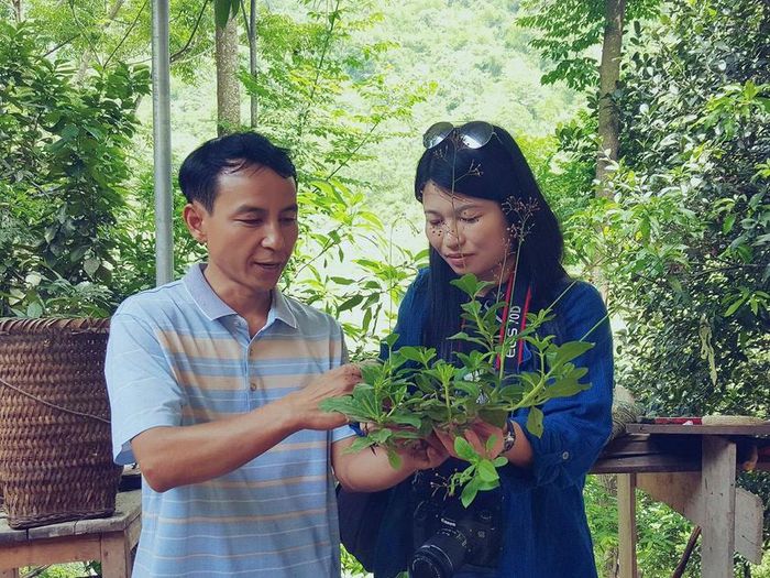 Một loại thuốc nam của người Dao miền tây Thanh Hóa.