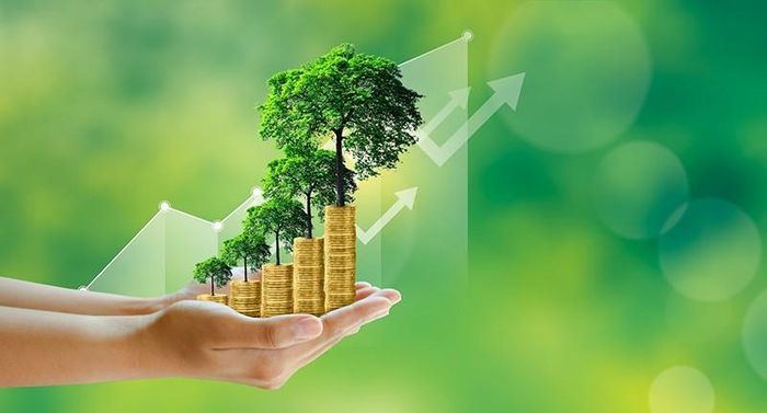 Vương quốc Anh sẽ hỗ trợ kỹ thuật nhằm tăng cường hệ sinh thái tài chính xanh của Việt Nam. Ảnh minh họa: S.T