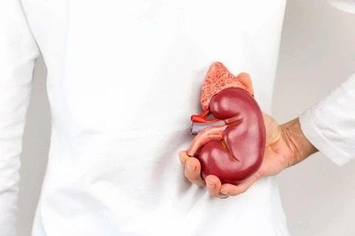 Người dân cần chú ý những dấu hiệu cảnh báo về việc suy thận để điều trị kịp thời. Ảnh minh họa. 