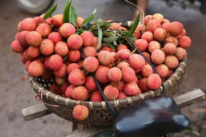 Trái vải đặc trưng cho Tết Đoan Ngọ.