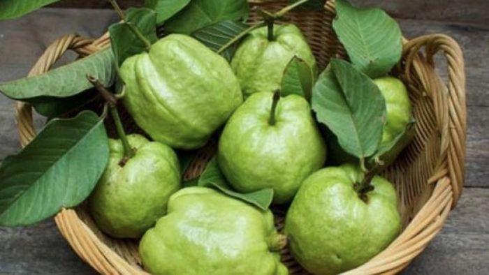 Ăn ổi không chỉ giúp đẹp da, chống lão hóa mà còn hỗ trợ giảm cân. Ảnh minh họa