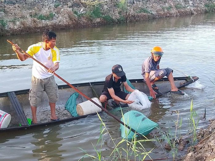 Chương trình kỳ vọng mở ra hướng đi phù hợp cho những vùng đất bị ảnh hưởng bởi phèn, mặn