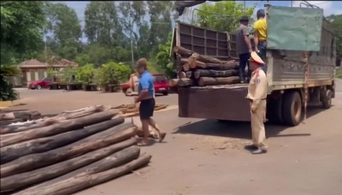  Phương tiện vận chuyển hơn 8,7m³ lâm sản không có giấy tờ hợp pháp bị lực lượng chức năng phát hiện, xử lý. 