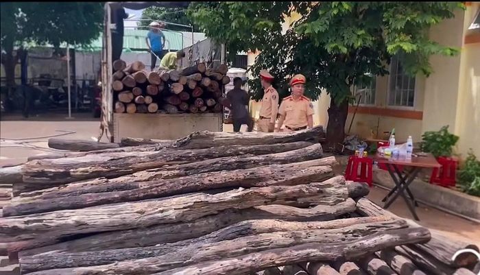  Cán bộ, chiến sĩ Phòng CSGT Công an tỉnh Đắk Lắk kiểm đếm, niêm phong số gỗ không rõ nguồn gốc trên xe tải vi phạm. 