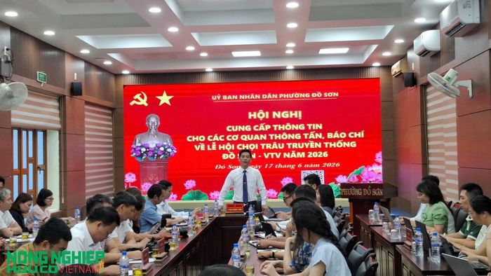 Ông Phạm Hoàng Tuấn - PCT UBND phường Đồ Sơn - Trưởng Ban tổ chức Lễ hội thông tin cho báo chí (ảnh:Kim Huệ)