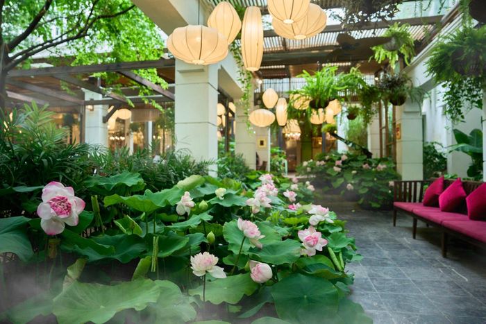 Ngon Garden (70 Nguyễn Du) được vận hành theo mô hình all-day-dining (phục vụ cả ngày), với phương châm “Hà Nội 12 mùa hoa, Nhà Ngon 12 mùa đỏ lửa”. Ảnh: PHT