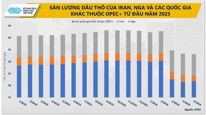 Sản lượng dầu thô của các quốc gia hàng đầu kể từ đầu năm 2025 đến nay. Nguồn: MXV