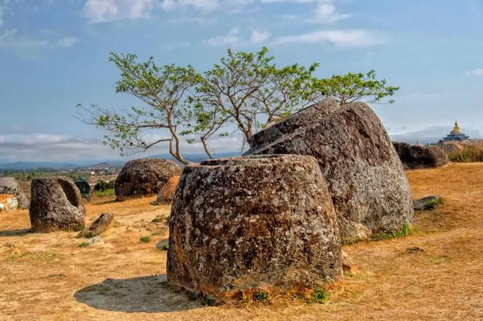 Cánh đồng Chum tại Lào (Ảnh: Shutterstock)
