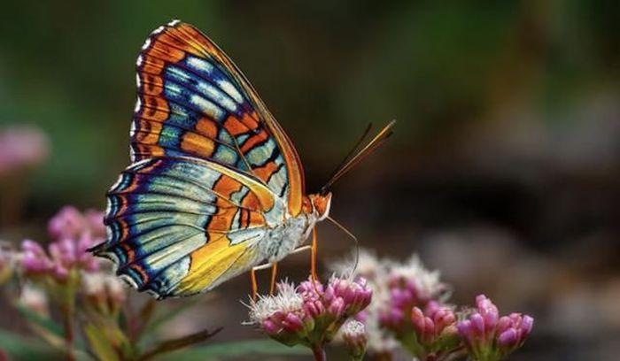 Điểm mạnh nổi bật của người sinh ngày 21 và 25 Âm lịch là khả năng nhìn thấy cơ hội trong nghịch cảnh. Ảnh minh họa