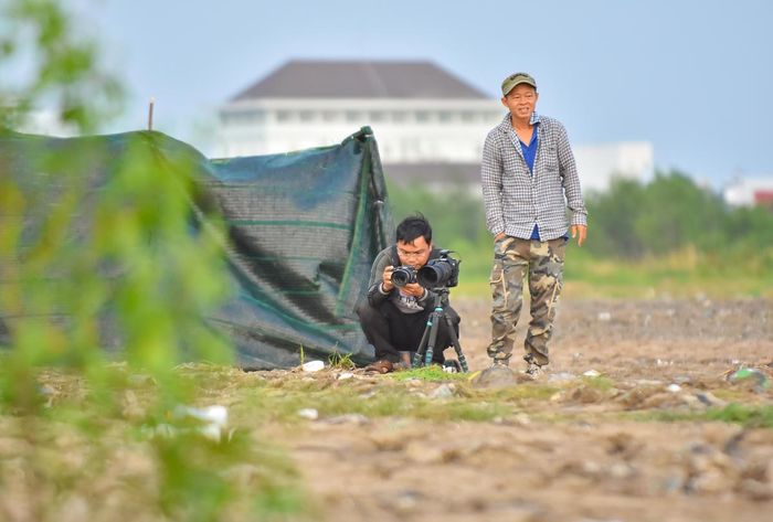 Nhiếp ảnh gia canh trực săn ảnh loài chim được mệnh danh là “siêu mẫu” trong thế giới chim biển. Ảnh Nguyễn Minh. 