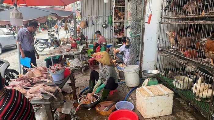Lực lượng chức năng phường Dĩ An kiểm tra một điểm giết mổ gia cầm tự phát tại khu vực chợ Bàu Ông Cuộn, nơi ghi nhận nhiều dấu hiệu vi phạm quy định về thú y, vệ sinh môi trường và an toàn thực phẩm. Ảnh: UBND phường Dĩ An