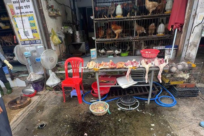 Nước thải phát sinh từ hoạt động giết mổ được ghi nhận xả trực tiếp vào hệ thống thoát nước đô thị, tiềm ẩn nguy cơ ô nhiễm môi trường và ảnh hưởng đến đời sống người dân xung quanh. Ảnh: UBND phường Dĩ An