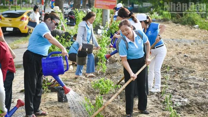 Những vườn hoa, cây xanh, rau sạch dần hình thành trên đất trống từ bàn tay chị em.