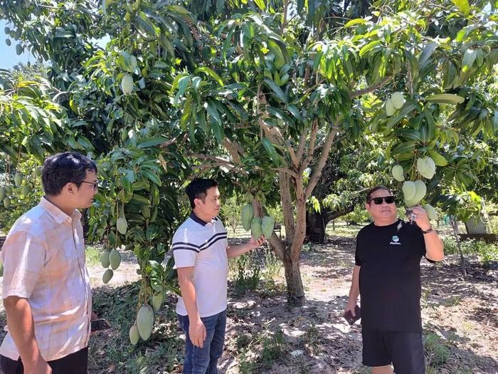 Anh Đặng Thế Truyền (giữa) hy vọng sẽ phát triển thành công hơn nữa mô hình du lịch nông nghiệp. Ảnh: PHÚ TÂY