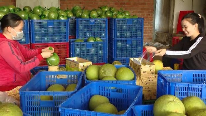 Chuyển đổi xanh đang mở ra dư địa tăng trưởng mới cho ngành nông nghiệp TPHCM.