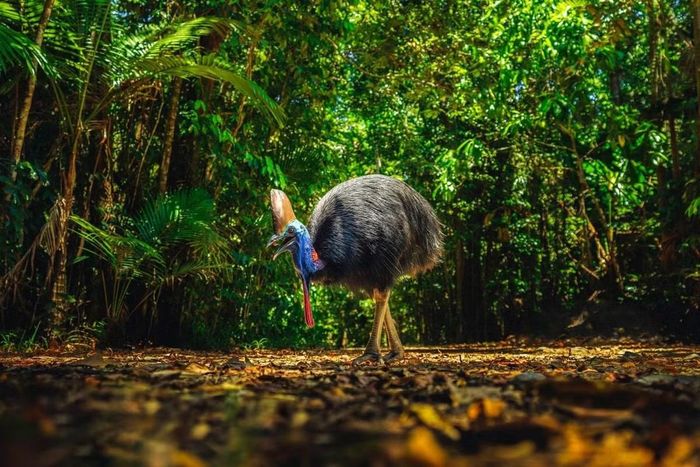 Ảnh: queensland.com