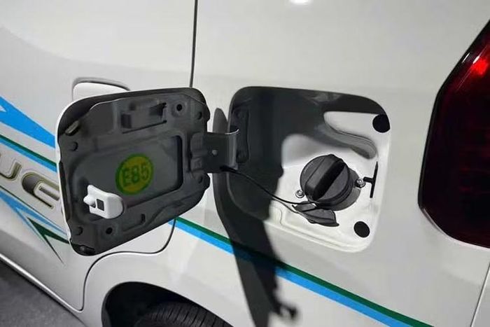 Dưới nắp ca-pô là động cơ xăng 4 xi-lanh K-Series 1.2L của Maruti Suzuki. Để cho phép hoạt động với nồng độ ethanol cao hơn, các kỹ sư đã sửa đổi một số bộ phận quan trọng. Hệ thống cung cấp nhiên liệu được nâng cấp kim phun và bơm, đồng thời lắp đặt thêm các đường dẫn nhiên liệu chuyên dụng.