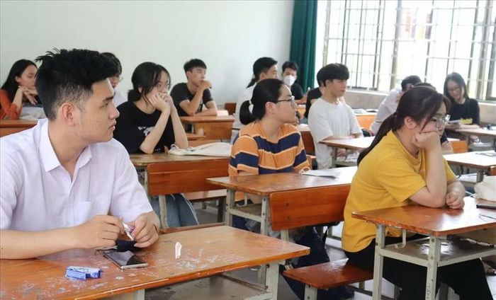 Ảnh minh họa/internet.
