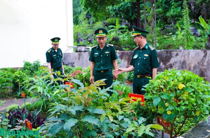 Các thành viên đoàn kiểm tra kiểm tra vườn thuốc nam của Đồn Biên phòng cửa khẩu quốc tế Thanh Thủy. Ảnh: Thanh Xuân