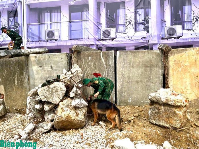 Đội chó nghiệp vụ Trường Trung cấp 24 Biên phòng tham gia diễn tập nội dung ứng phó, tìm kiếm cứu nạn sự cố sập đổ công trình. Ảnh: Ngọc Lâm