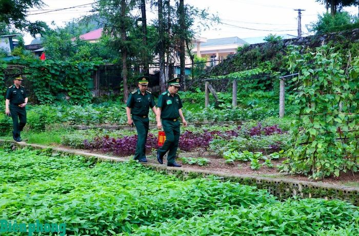 Thiếu tướng Nguyễn Văn Thiện kiểm tra khu tăng gia tập trung của Đồn Biên phòng Tùng Vài. Ảnh: Thanh Xuân