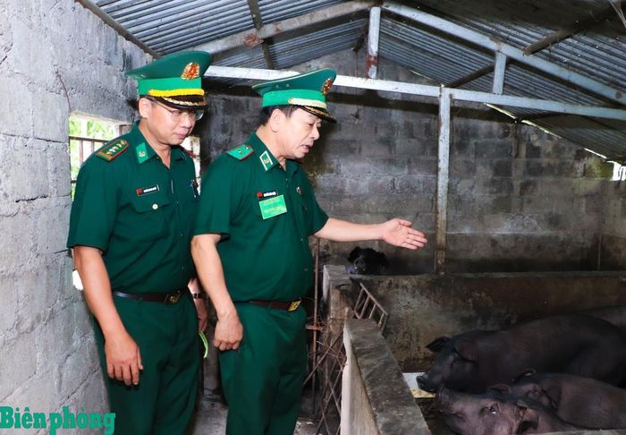 Thiếu tướng Nguyễn Văn Thiện kiểm tra hệ thống chuồng, trại chăn nuôi lợn tập trung của Đồn Biên phòng Tùng Vài. Ảnh: Thanh Xuân