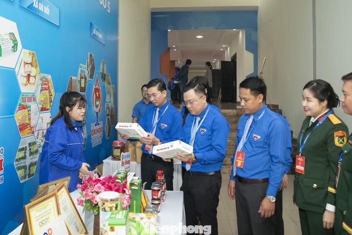 Thời gian qua, nhiều chương trình hỗ trợ thanh niên nông thôn khởi nghiệp được triển khai.