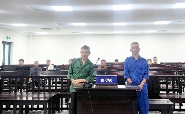 Các bị cáo tại phiên xử.