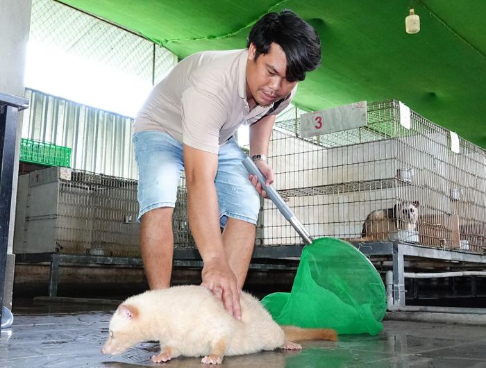 Anh Hưng bên con chồn hương đột biến sở hữu màu mắt đỏ và bộ lông vàng nhạt
