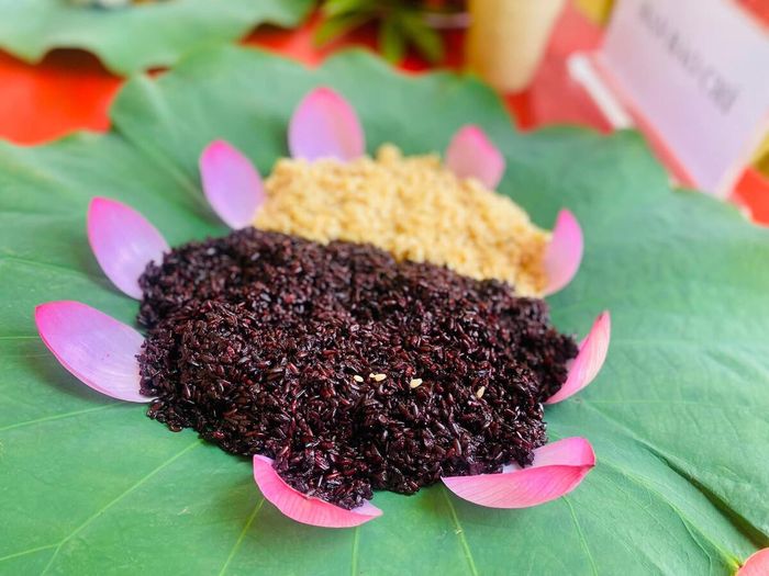 Ảnh minh họa: Tình Lê