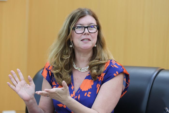 Bà Silvia Danailov - Trưởng Đại diện UNICEF tại Việt Nam phát biểu tại buổi tiếp(Ảnh: Lê Anh Dũng)
