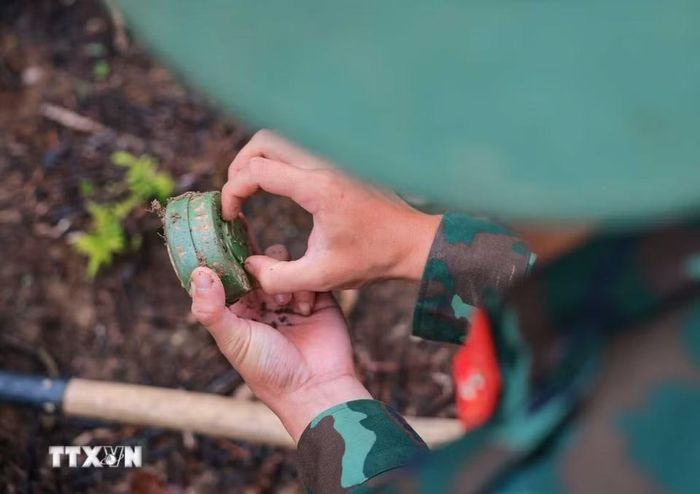 Nhiều loại mìn có cấu tạo chủ yếu bằng vật liệu nhựa, gây khó khăn cho công tác phát hiện, rà phá và xử lý. (Ảnh: Hoàng Hiếu/TTXVN)
