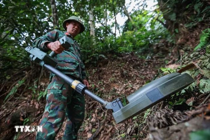 Trước khi thành viên Đội tiến hành tìm kiếm tại khu vực nghi có hài cốt liệt sỹ tại xã Minh Tân, Thiếu tá – quân nhân chuyên nghiệp Lê Văn Quyết tiên phong dò mìn, đảm bảo sạch bom, mìn, vật liệu nổ. (Ảnh: Hoàng Hiếu/TTXVN)