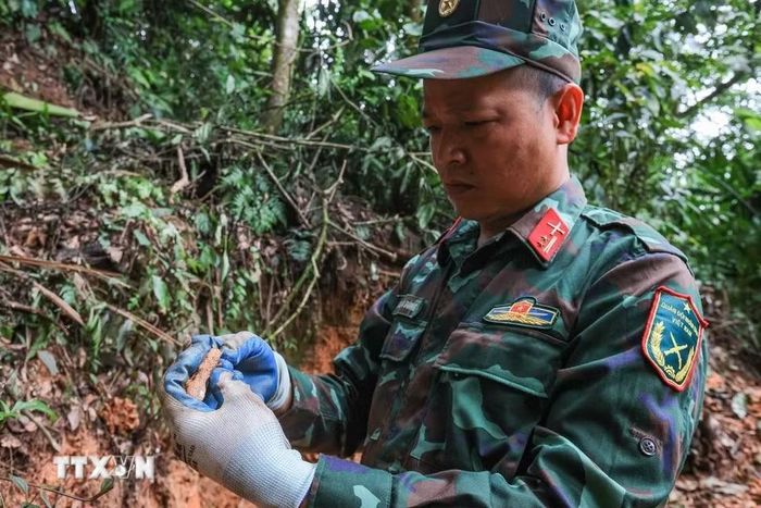 Trung tá Hoàng Vũ Dũng - Đội phó đội tìm kiếm, quy tập hài cốt liệt sỹ Tuyên Quang xem xét cẩn thận mảnh xương nghi là của người tại khu vực nghi có hài cốt liệt sỹ thuộc chiến trường xưa - xã Minh Tân. (Ảnh: Hoàng Hiếu/TTXVN)