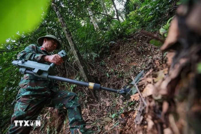 Trước khi thành viên Đội tiến hành tìm kiếm tại khu vực nghi có hài cốt liệt sỹ tại xã Minh Tân, Thiếu tá – quân nhân chuyên nghiệp Lê Văn Quyết tiên phong dò mìn, đảm bảo sạch bom, mìn, vật liệu nổ. (Ảnh: Hoàng Hiếu/TTXVN)