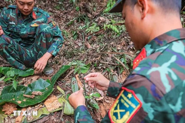 Trung tá Hoàng Vũ Dũng - Đội phó đội tìm kiếm, quy tập hài cốt liệt sỹ Tuyên Quang xem xét cẩn thận mảnh xương nghi là của người tại khu vực nghi có hài cốt liệt sỹ thuộc chiến trường xưa - xã Minh Tân. (Ảnh: Hoàng Hiếu/TTXVN)