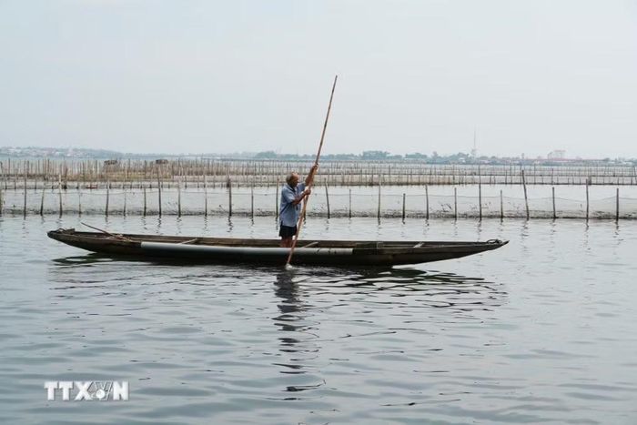 Cảnh hoang sơ, bình yên trên phá Tam Giang đoạn gần cửa biển Thuận An, thành phố Huế. (Ảnh: Nguyên Lý/TTXVN)