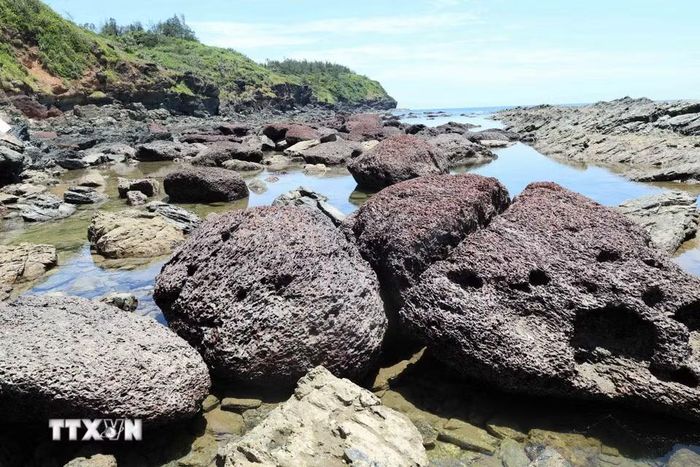 Một bãi đá có màu hồng đặc biệt ở khu vực Bàn Than. (Ảnh: Đỗ Trưởng/TTXVN)