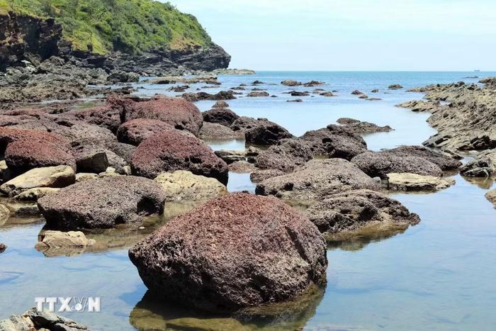 Một bãi đá có màu hồng đặc biệt ở khu vực Bàn Than. (Ảnh: Đỗ Trưởng/TTXVN)