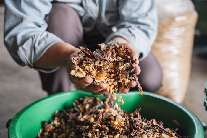 Phần vỏ ca cao “dư thừa” được tái tạo thành thành phẩm hữu cơ, tiếp tục quay trở lại phục vụ quá trình sản xuất.