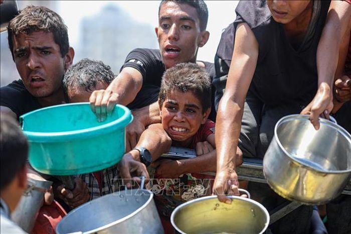 Người dân chờ được phát thực phẩm cứu trợ tại Gaza. Ảnh: THX/TTXVN