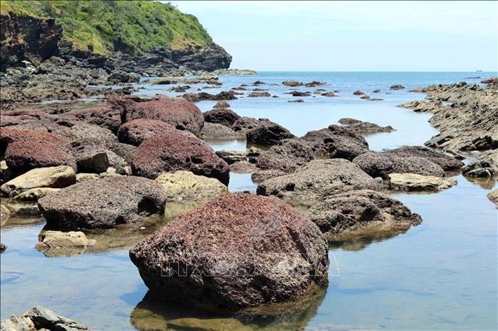Một bãi đá có màu hồng đặc biệt ở khu vực Bàn Than.
