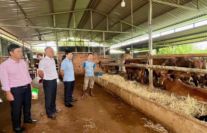 Cán bộ NHCSXH Lâm Đồng đồng hành hướng dẫn hộ nghèo, gia đình đồng bào DTTS sử dụng vốn chính sách đúng mục đích.