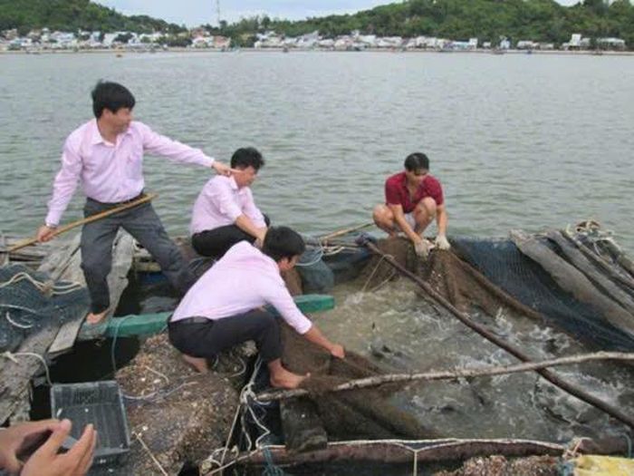 Cán bộ NHCSXH Lâm Đồng đồng hành hướng dẫn hộ nghèo, gia đình đồng bào DTTS sử dụng vốn chính sách đúng mục đích.