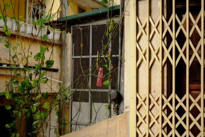 Cửa sắt đồng bộ và những khung "chuồng cọp" gợi nhắc về một giai đoạn lịch sử đặc biệt của đô thị Hà Nội. Dấu vết thời gian hiện diện trên từng viên gạch cũ, mảng tường bạc màu và những hành lang đã nhuốm màu ký ức.